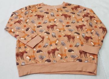 Sweatshirt Gr. 98 von Alana (1778)