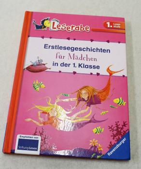 Erstlesegeschichten für Mädchen in der 1 Klasse (4044)