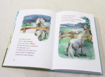 Die schönsten Silbengeschichten von frechen Ponys zum Lesenlernen (4120)