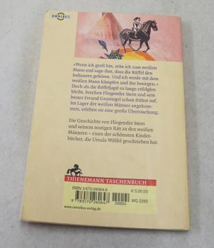 Fliegender Stern (3882)