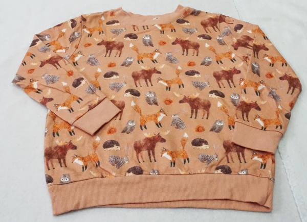 Sweatshirt Gr. 98 von Alana (1778)
