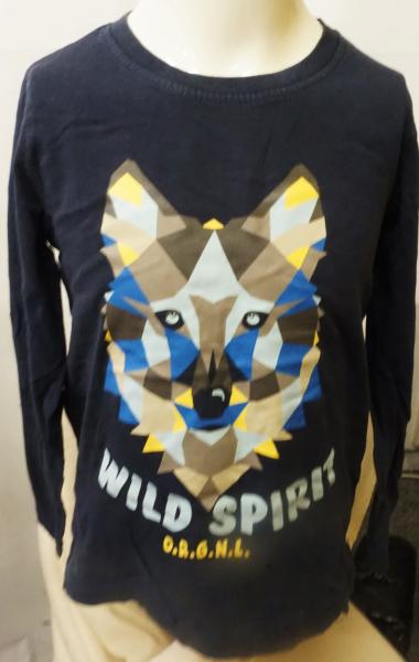 Langarmshirt Gr. 110/116 von Lupilu (2218)