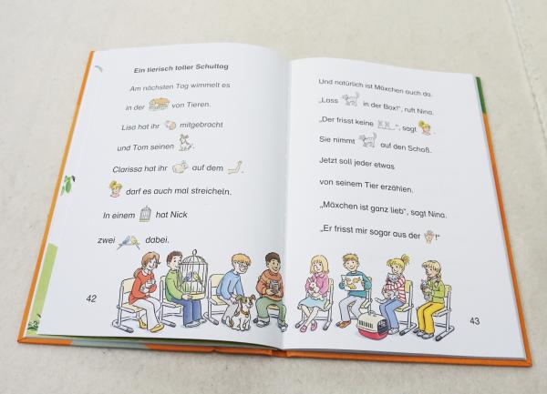 Conni-Geschichten zum Lesenlernen (4045)