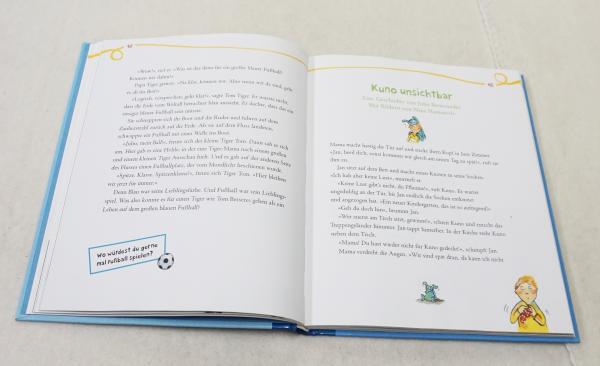 Das große Vorlesebuch für Jungs (3702)