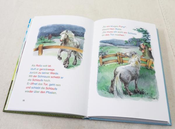 Die schönsten Silbengeschichten von frechen Ponys zum Lesenlernen (4120)