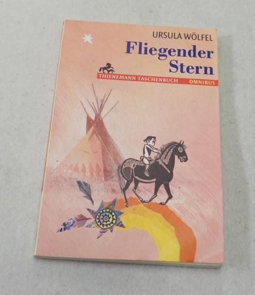 Fliegender Stern (3882)