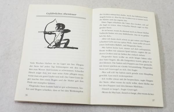 Fliegender Stern (3882)