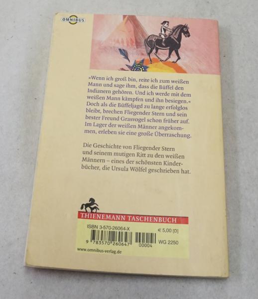 Fliegender Stern (3882)