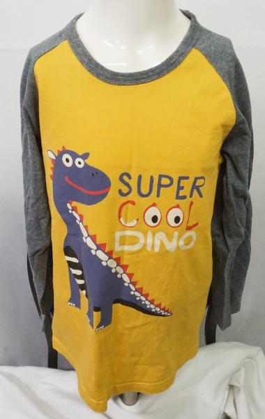 Langarmshirt Gr. 134 (3591)